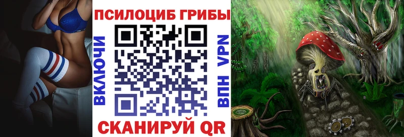 как найти закладки  Кострома  Псилоцибиновые грибы GOLDEN TEACHER 